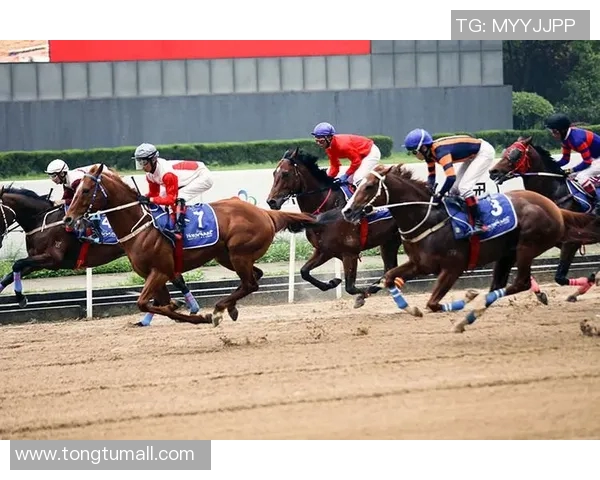 武汉羽毛球队在邀请赛中的速度表现分析与点评