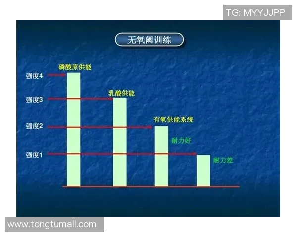 深圳羽毛球队转换打法深度分析与战术创新探讨