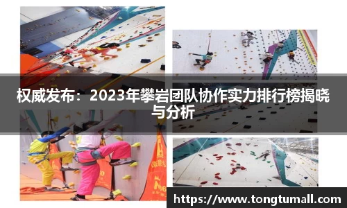 权威发布：2023年攀岩团队协作实力排行榜揭晓与分析