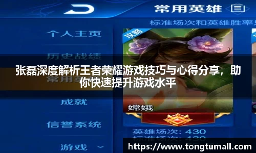 张磊深度解析王者荣耀游戏技巧与心得分享，助你快速提升游戏水平