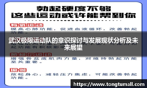 武汉极限运动队的意识探讨与发展现状分析及未来展望