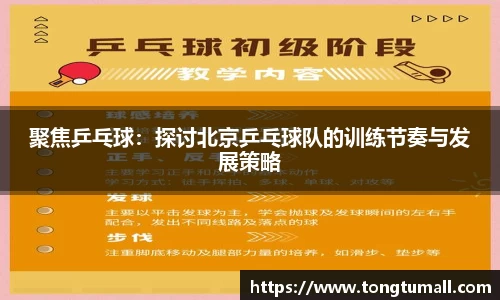 聚焦乒乓球：探讨北京乒乓球队的训练节奏与发展策略