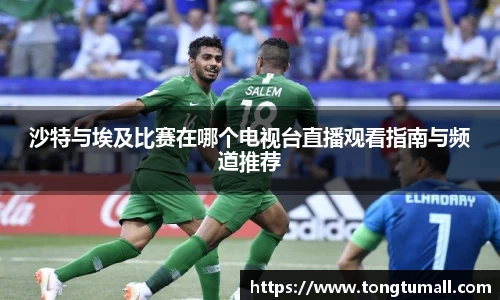 沙特与埃及比赛在哪个电视台直播观看指南与频道推荐