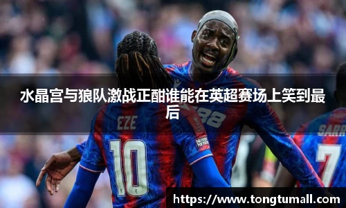 水晶宫与狼队激战正酣谁能在英超赛场上笑到最后