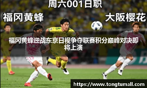 福冈黄蜂迎战东京日视争夺联赛积分巅峰对决即将上演