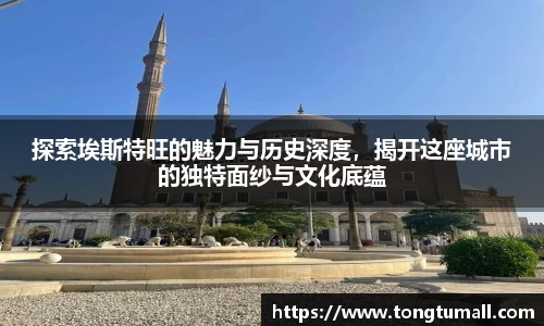 探索埃斯特旺的魅力与历史深度，揭开这座城市的独特面纱与文化底蕴