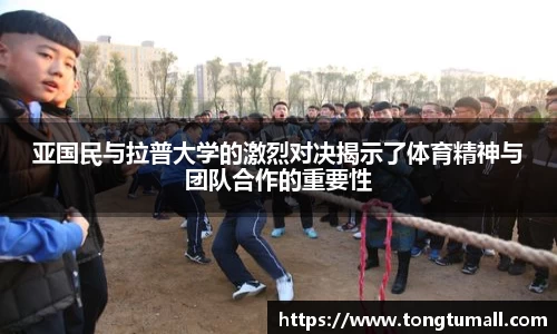 mk体育官网
